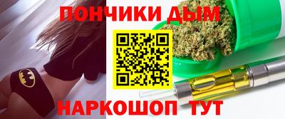 индика Кандалакша