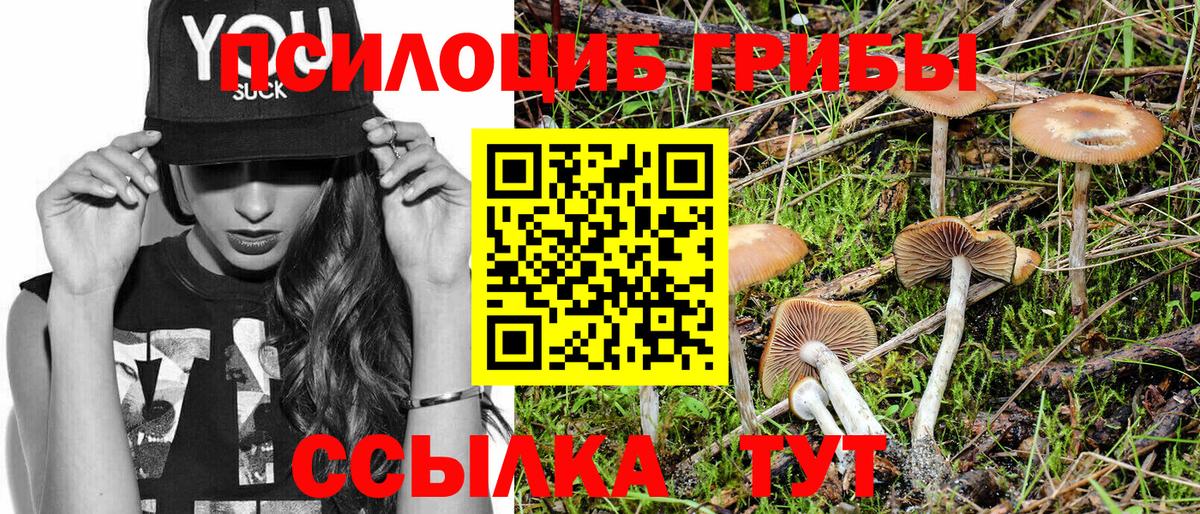 Галлюциногенные грибы Magic Shrooms  даркнет сайт  Барабинск  Вход с VPN 