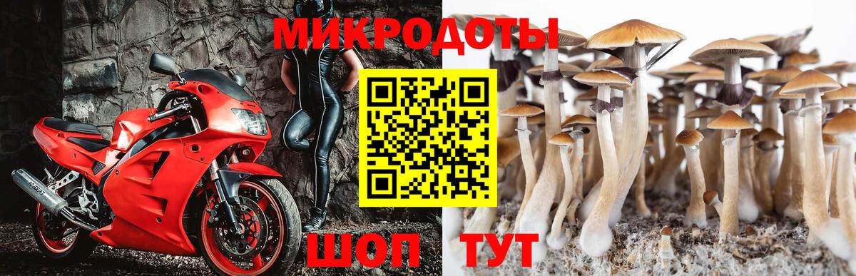 Галлюциногенные грибы прущие грибы Барабинск